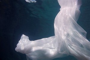 Image description is not available for 2024.025